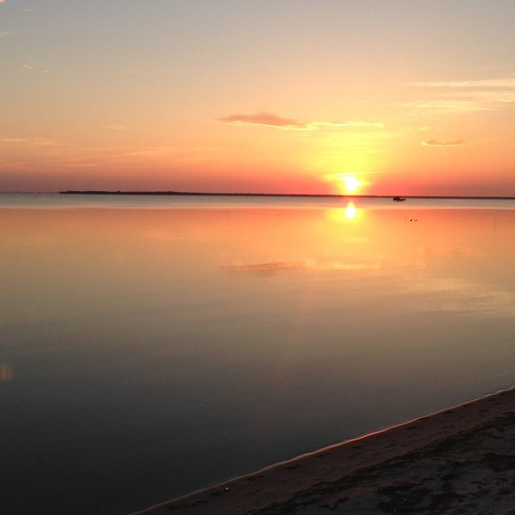 Meet your Posher, Karen - Picture 1 of 1